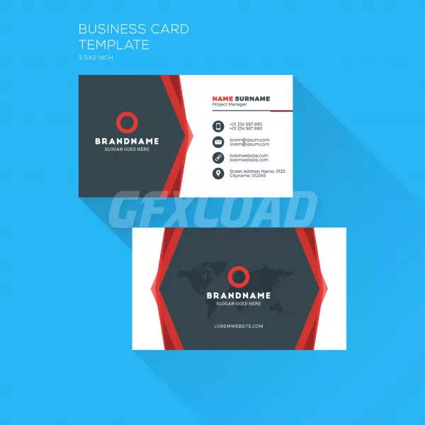 Corporate Business Card Print Template Personal Visiting Card With Company Clean Flat Design Vector Illu