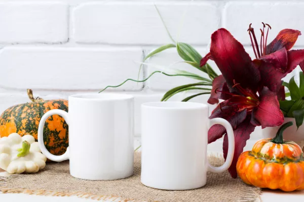 Two Coffee Mug Mockup With Pumpkins Lily
