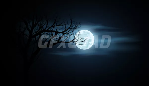 Full Moon Cloudy Night Sky
