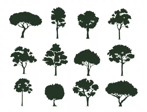 Trees Silhouette White Background